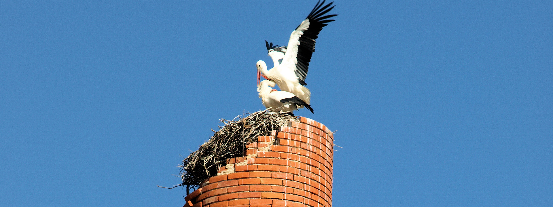 Create Without Limits